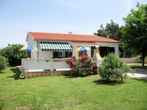 Joso Dalmatia
